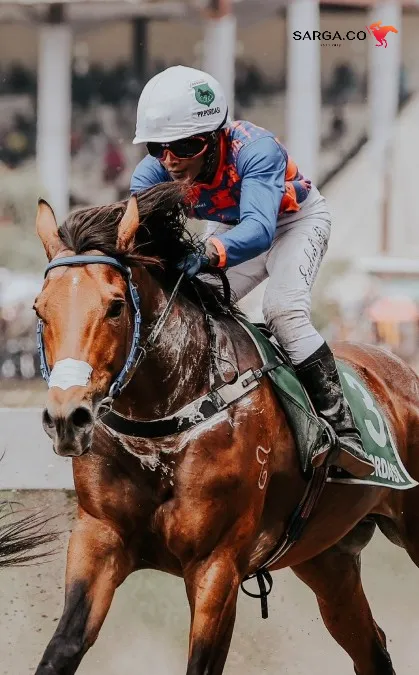 Indonesia’s Horse Racing - Triple Crown Serie 2 2025 akan diikuti 140 kuda