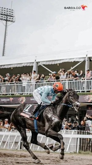 140 Kuda Berlaga di IHR - Triple Crown Serie 2 2025, Akankah King Argentine Ukir Sejarah?