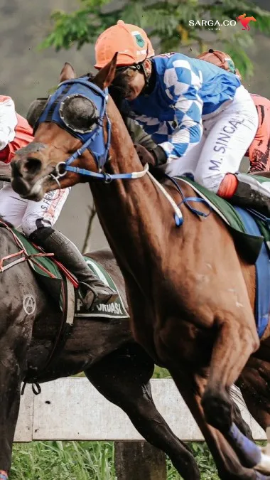 140 Kuda Berlaga di IHR - Triple Crown Serie 2 2025, Akankah King Argentine Ukir Sejarah?