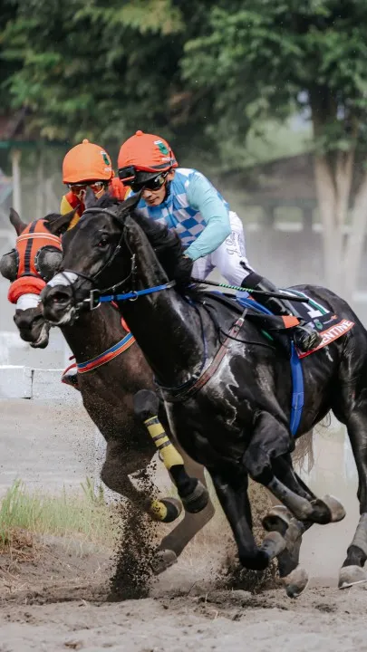 King Argentine Siap Ukir Sejarah Baru Triple Crown Di